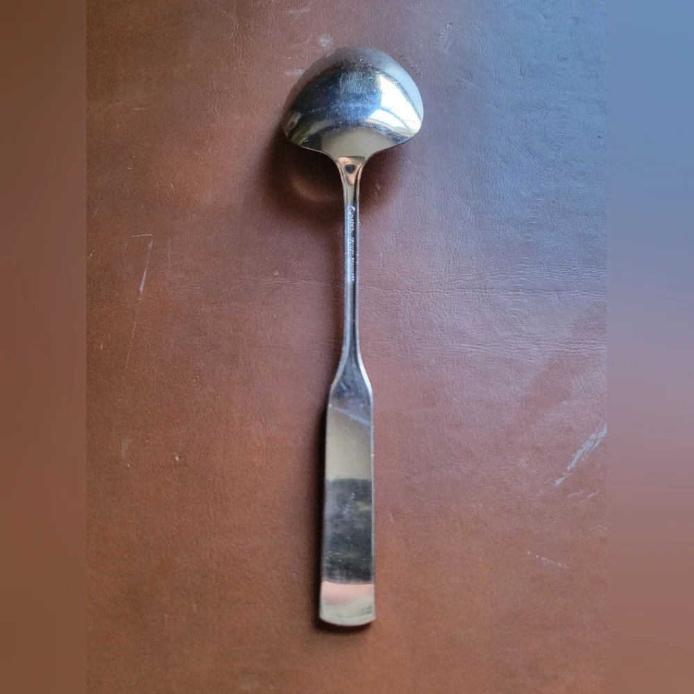 Oneida Deluxe SATIN Stainless Flatware / Silverware Spoon